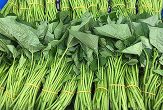 蔬菜配送的現狀和優(yōu)勢